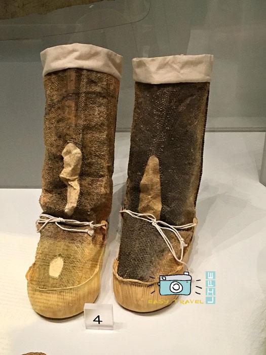 Arctic shoes