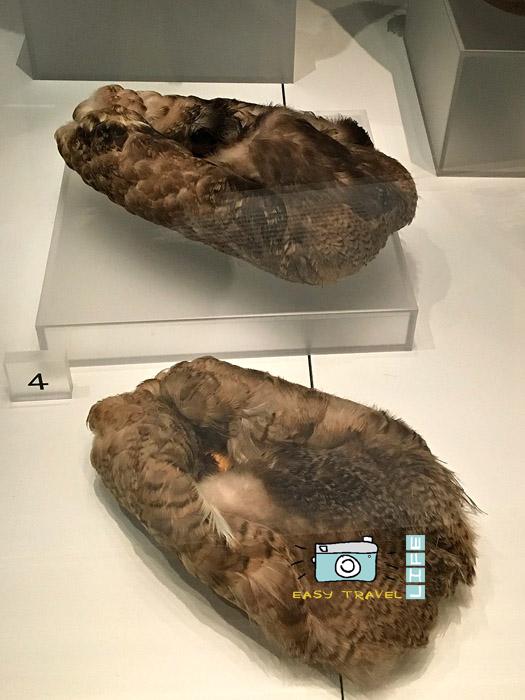 toronto museum
