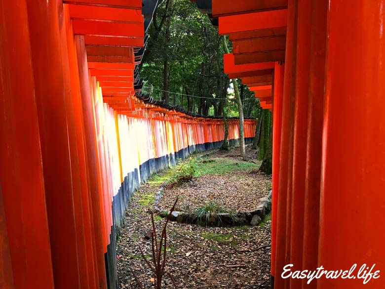 Itinerary Japan